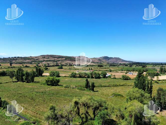 VENTA DE TERRENO VILLA ALEGRE (11,7 HAS), 25 MIN DE TALCA - Imagen 4