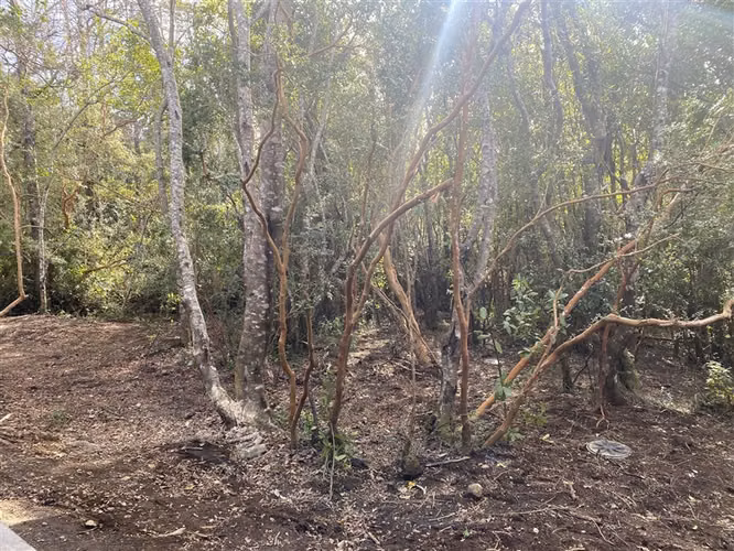 VENTA CASA NUEVA A ESTRENAR EN PUCÓN. 2 D/2B .PARCELA 5000 M