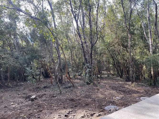 VENTA CASA NUEVA A ESTRENAR EN PUCÓN. 2 D/2B .PARCELA 5000 M