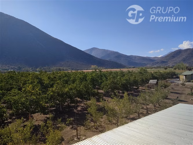 Parcela productiva con 900 nogales y derechos de agua