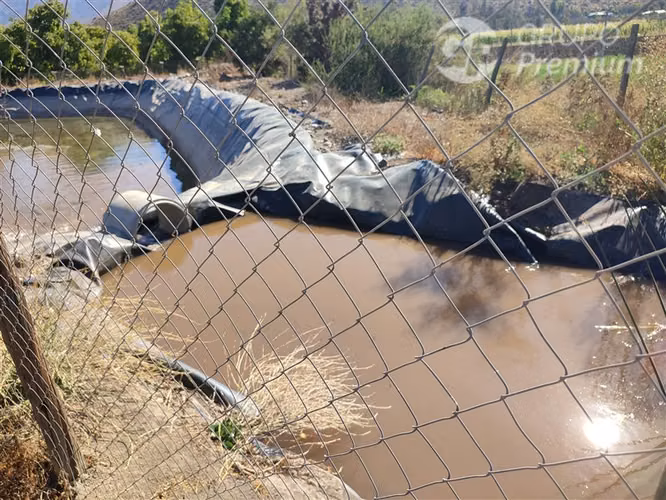 Parcela productiva con 900 nogales y derechos de agua