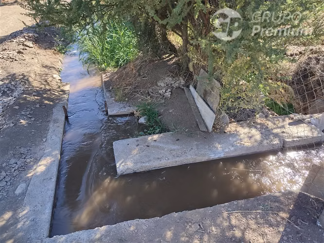 Parcela productiva con 900 nogales y derechos de agua