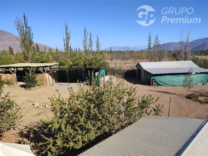 Parcela productiva con 900 nogales y derechos de agua