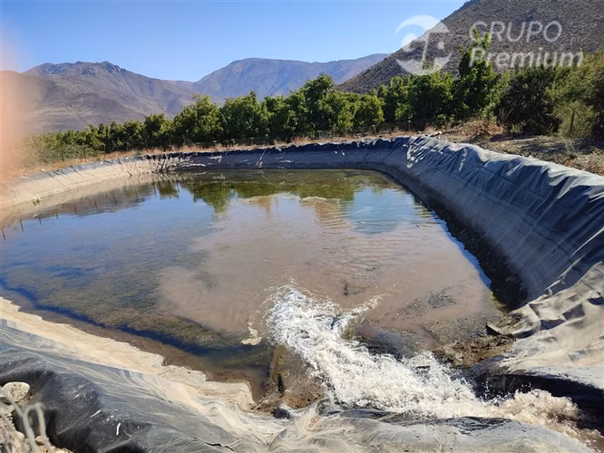 Parcela productiva con 900 nogales y derechos de agua