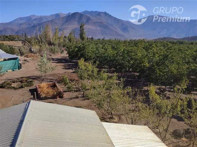Parcela productiva con 900 nogales y derechos de agua