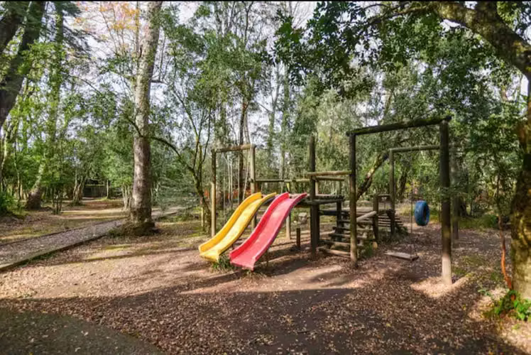 Casa Ideal para Familia Pucón  (170839)