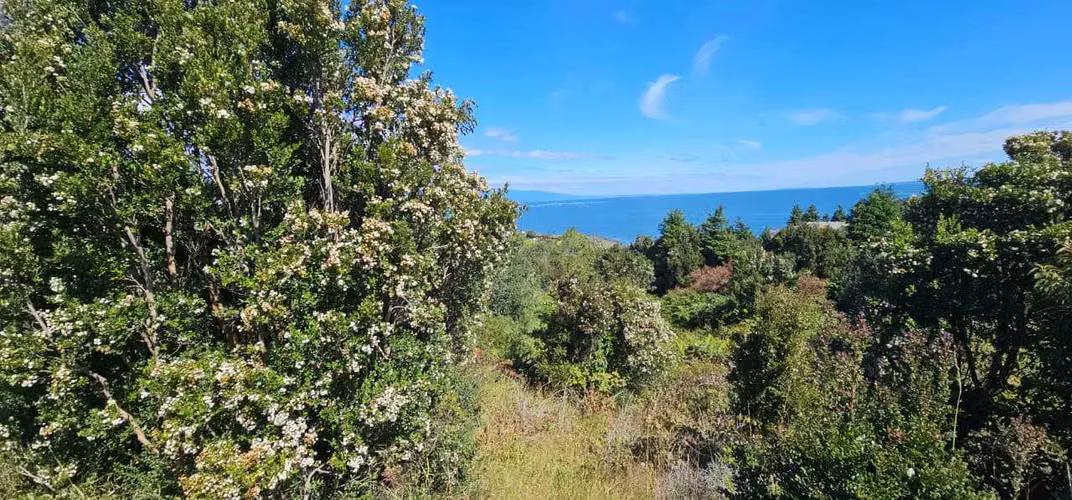 Parcela de 7.700 m² - Vista al Mar (172410)