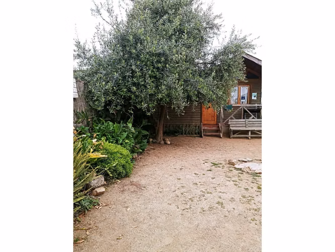 Último Precio Rebajado 6 Cabañas Horcón Funcionando! - Imagen 4