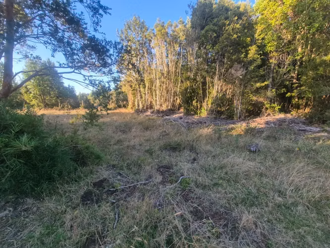 Parcela en Pto Montt - Pargua Parque Río Tambor