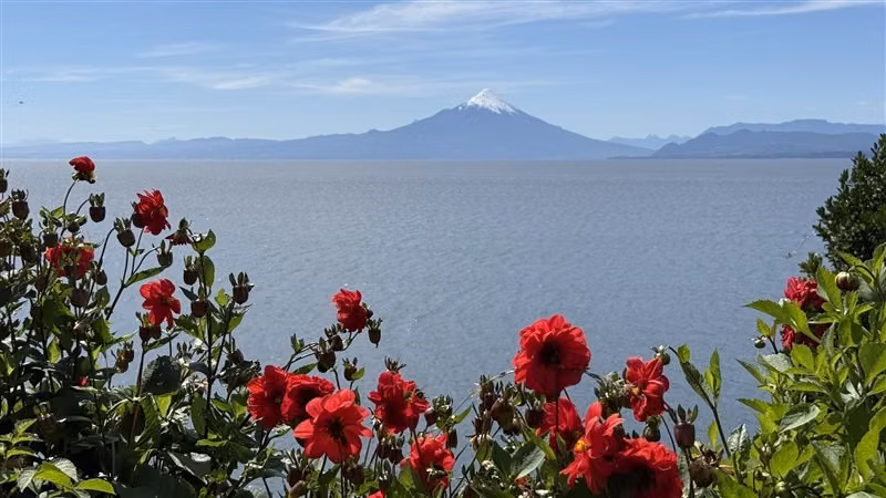 Casa en arriendo en Puerto Varas