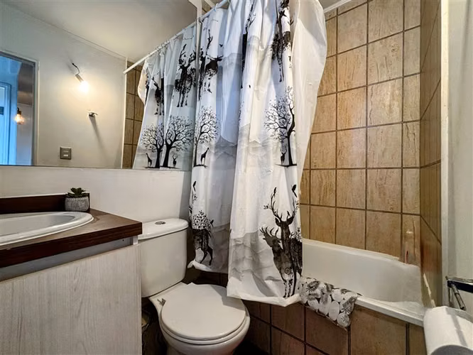 Arriendo Año Corrido Departamento 3D/1B Amoblado en Pucón