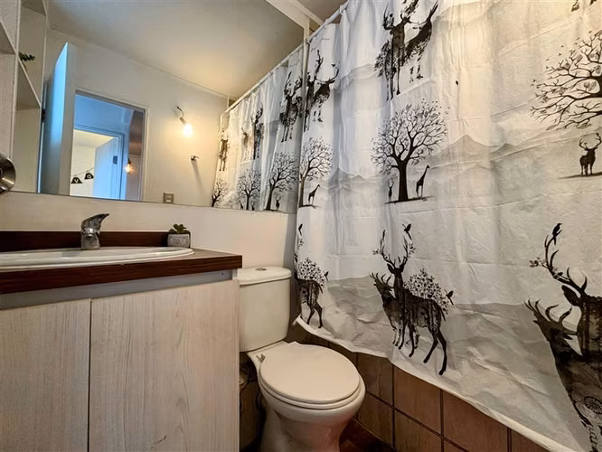 Arriendo Año Corrido Departamento 3D/1B Amoblado en Pucón