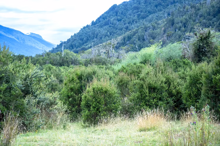 OPORTUNIDAD ÚNICA EN CORDÓN BLANCO, PATAGONIA