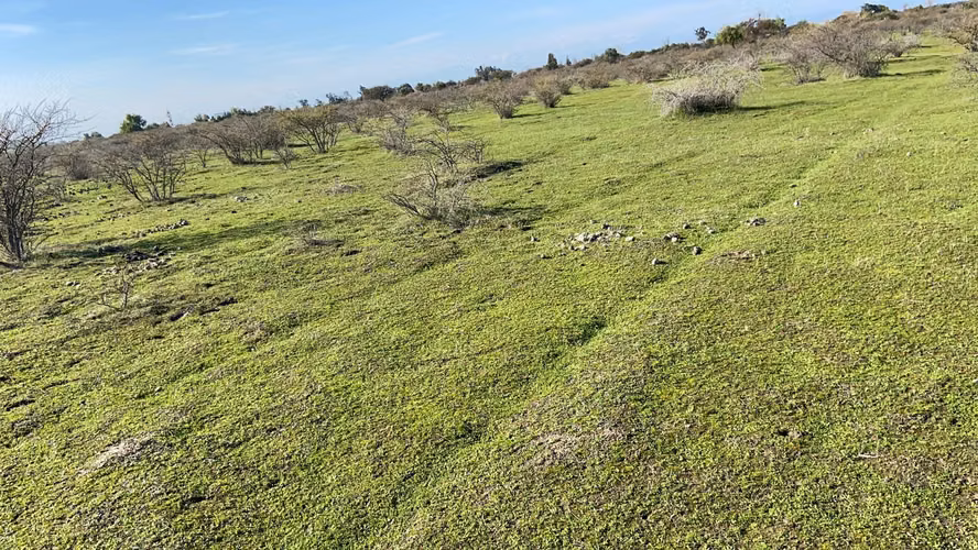  PARCELAS DE 5.000 m² EN PARRAL 