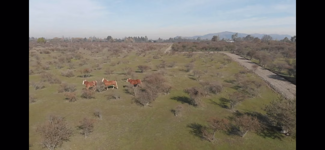  PARCELAS DE 5.000 m² EN PARRAL 