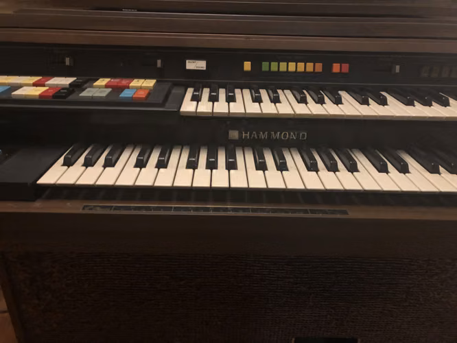 vendo organo piano