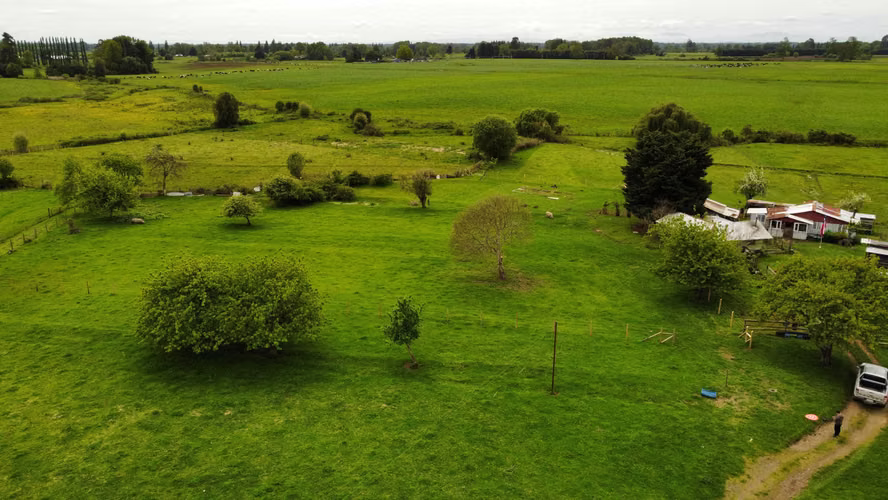 San Pablo, Sector Trecaimo Osorno (172528)