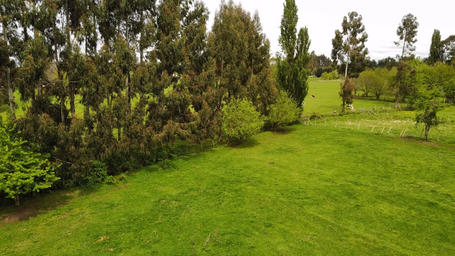 San Pablo, Sector Trecaimo Osorno (172528)