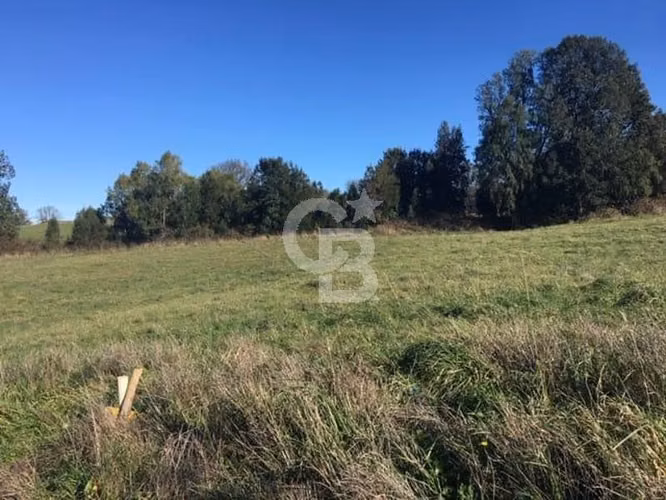 Exclusiva parcela con Vista al Lago y Volcanes en Frutillar