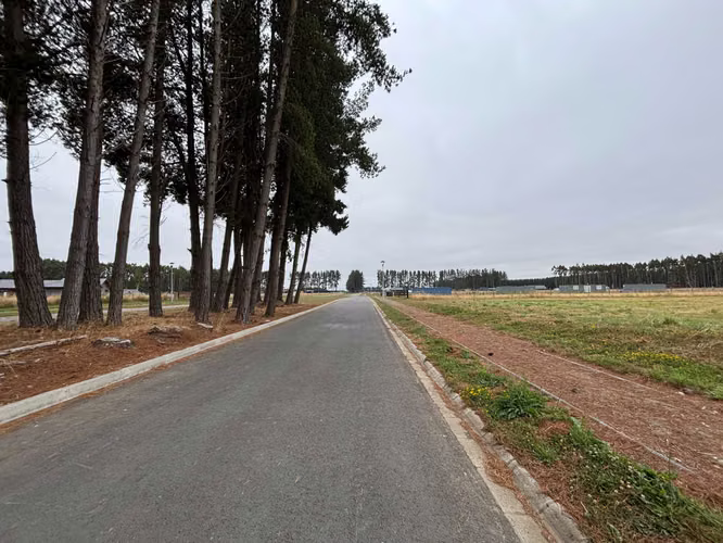 Venta de parcela en Frutillar (172561)