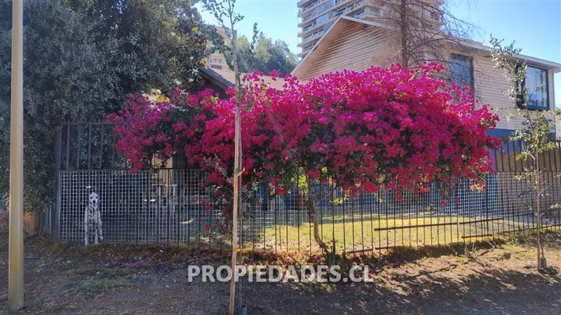Casa en venta de 4 dorm. en Las Condes/ Sector Tranquilo