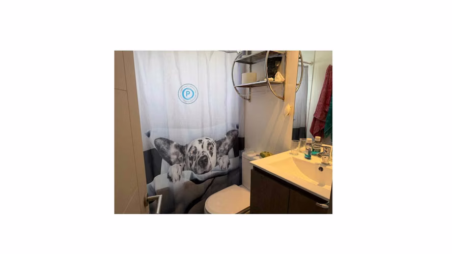 VENDO CASA EN PTE. ALTO (172556)