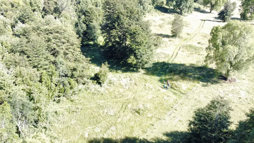 Rucatayo Alto, Río Bueno Region los Ríos (172573)