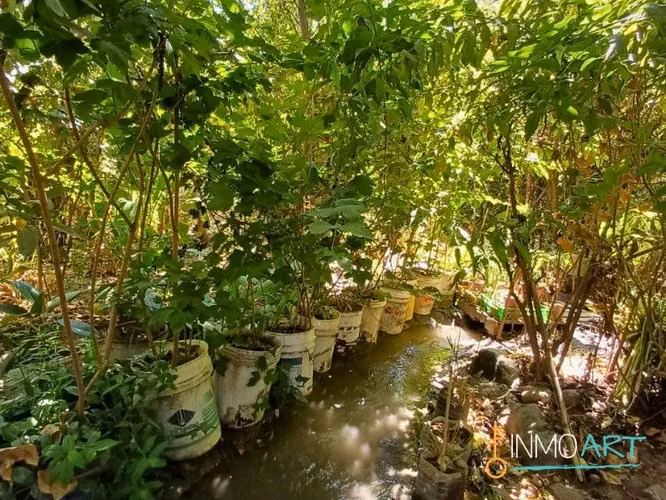Gran Sitio potencial comercial en La Florida