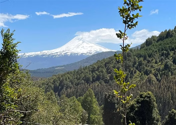 Terreno Construccion en Venta en Melipeuco