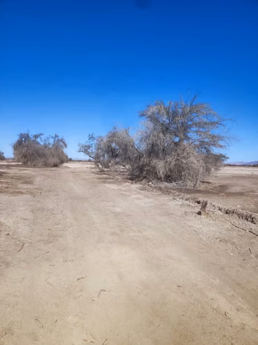 Se venden 5000 Mt2 en La Huayca
