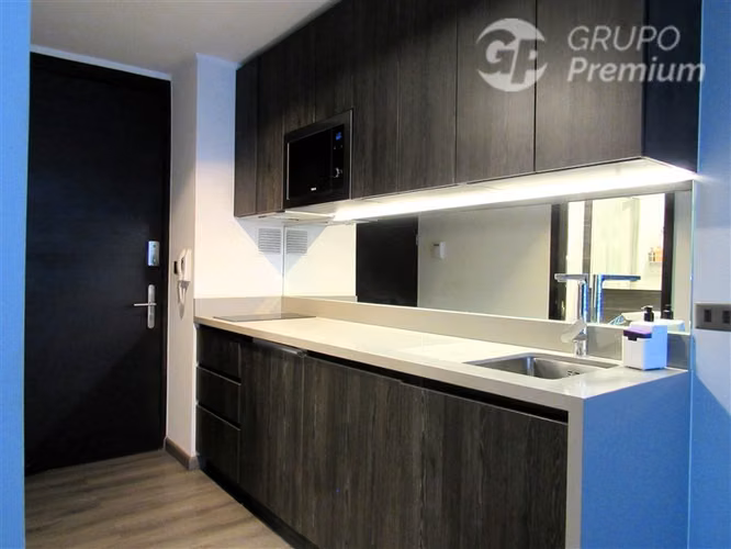 Arriendo amoblado en edificio full equipado.