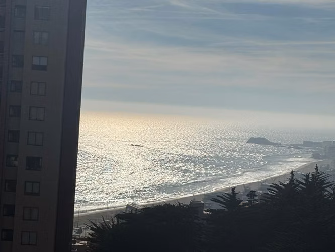 Departamento Los Sargazos 255, 2540245 Viña del Mar, Valparaíso