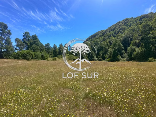 Parcelas En Venta, La Comarca, Villarrica (172686)