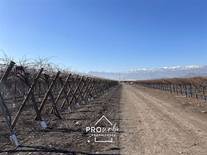 Parcela en Venta en Tiltil