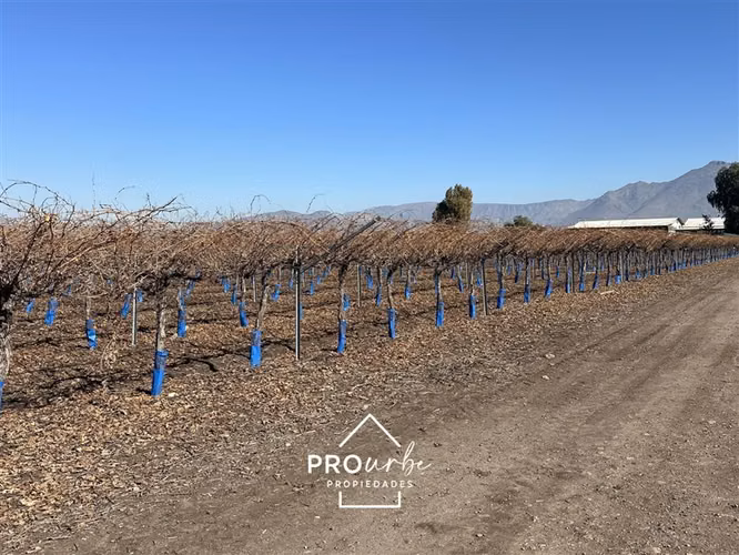 Terreno Construccion en Venta en Tiltil