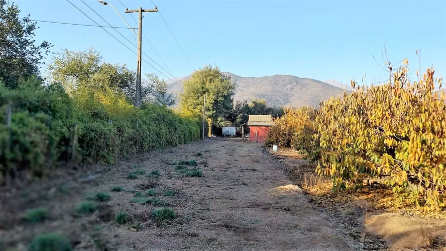Venta de Parcela de 20.000 m2, hermosa y productiva, en El Melón, Nogales. 15.350 UF.