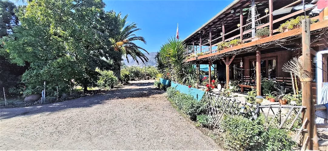 Venta de Parcela de 20.000 m2, hermosa y productiva, en El Melón, Nogales. 15.350 UF.