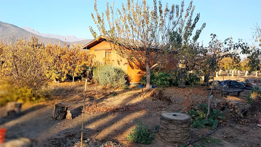 Venta de Parcela de 20.000 m2, hermosa y productiva, en El Melón, Nogales. 15.350 UF.