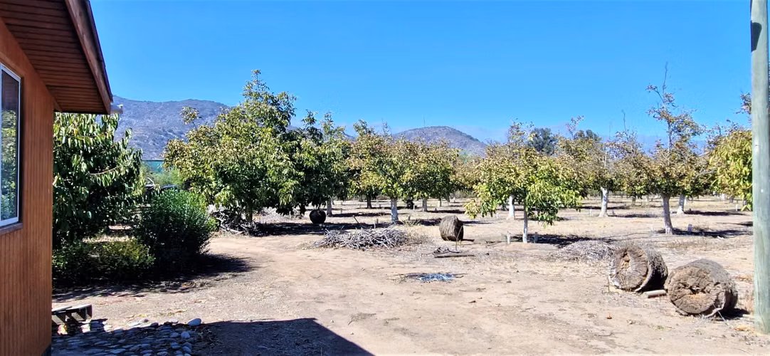 Venta de Parcela de 20.000 m2, hermosa y productiva, en El Melón, Nogales. 15.350 UF.