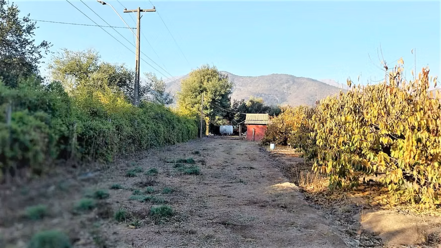 Venta de Parcela de 20.000 m2, hermosa y productiva, en El Melón, Nogales. 15.350 UF.