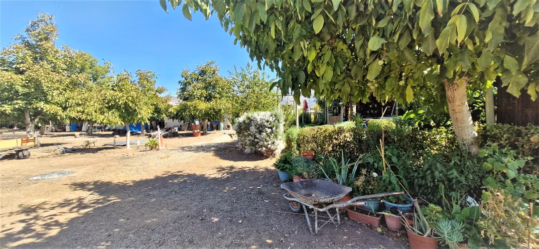 Venta de Parcela de 20.000 m2, hermosa y productiva, en El Melón, Nogales. 15.350 UF.
