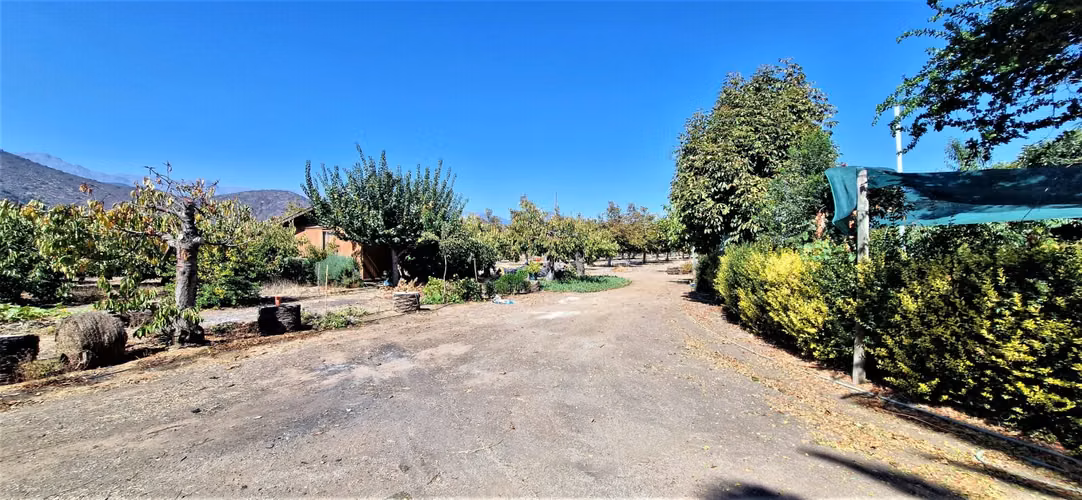 Venta de Parcela de 20.000 m2, hermosa y productiva, en El Melón, Nogales. 15.350 UF.