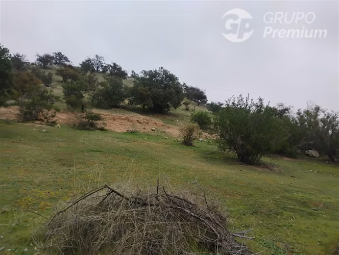 Parcela en venta 20.000 m2 en Curacaví