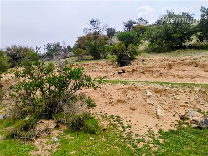 Parcela en venta 20.000 m2 en Curacaví
