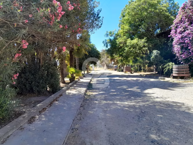 Terreno 4,2 Ha | Alto Potencial de Desarrollo e Inversión