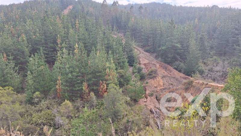 Vende Sitio con Refugio casa de 55m2 en Paredones