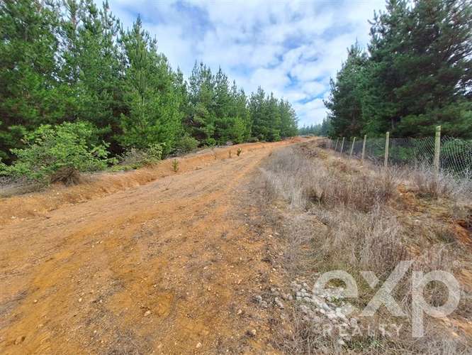 Vende Refugio con casa 55m2 2d y 1b en Paredones