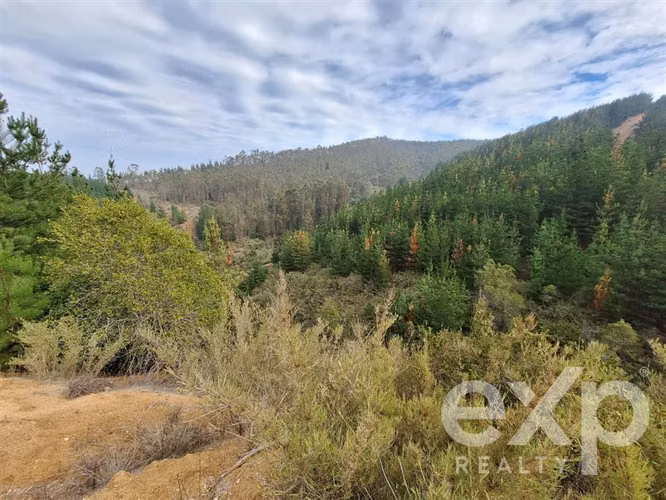Vende Refugio con casa 55m2 2d y 1b en Paredones