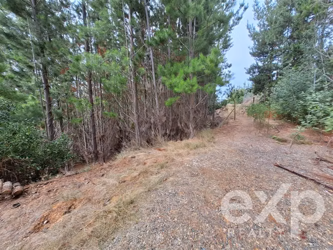 Vende Refugio con casa 55m2 2d y 1b en Paredones