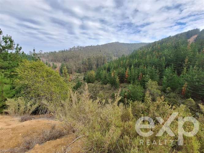 Vende Refugio con casa 55m2 2d y 1b en Paredones